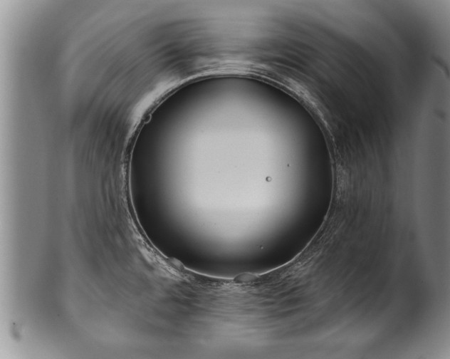 X0000100781480200806261618