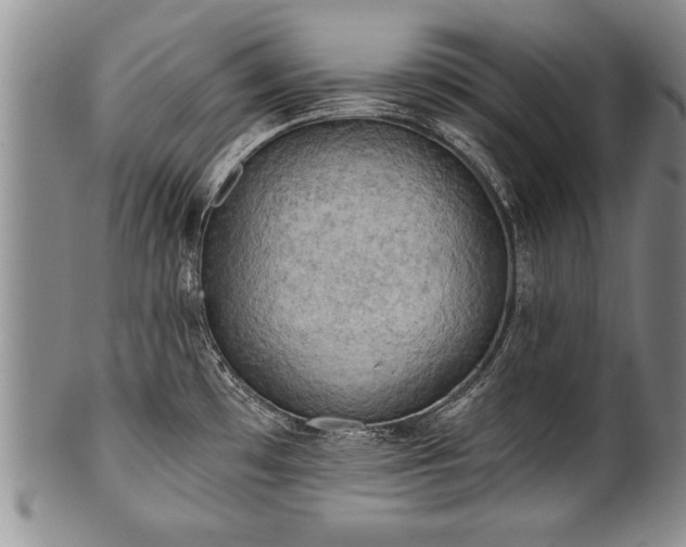 X0000100781481200806261617