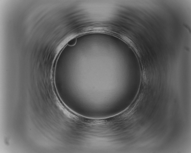 X0000100781482200806261617