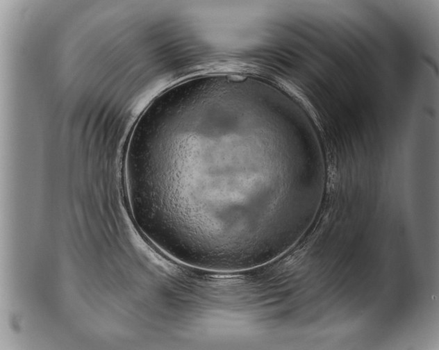 X0000100781483200806261617