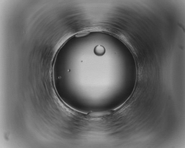 X0000100781484200806261617