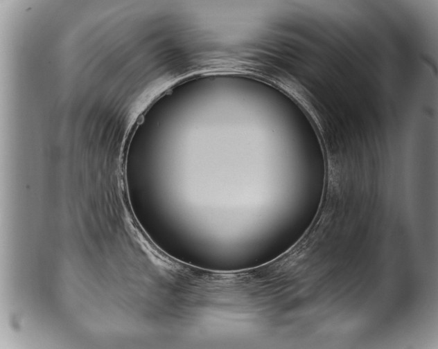 X0000100781485200806261617