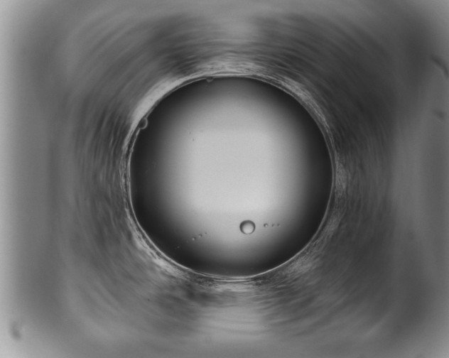 X0000100781486200806261617