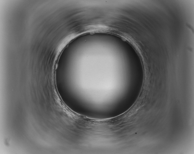 X0000100781488200806261617