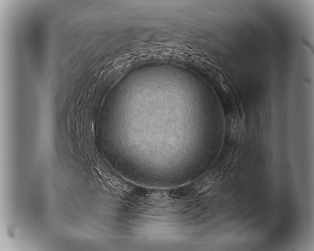 X0000100781489200806261617