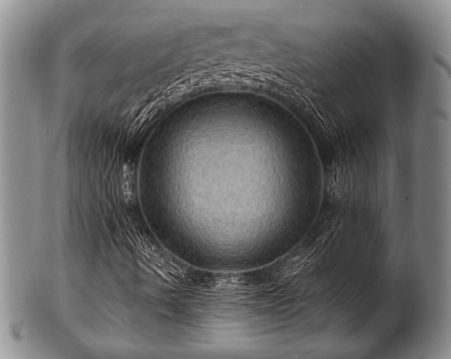 X0000100781490200806261617