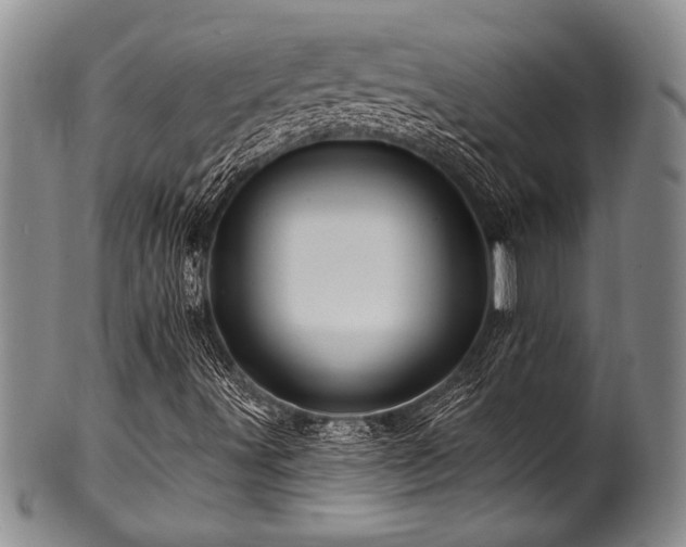 X0000100781491200806261617