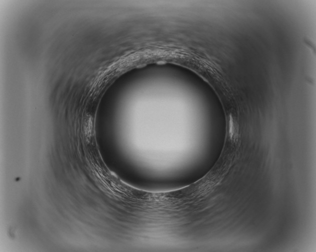 X0000100781492200806261617