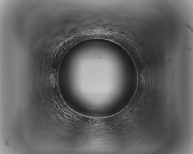 X0000100781493200806261617