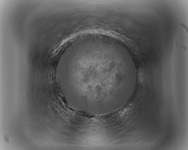 X0000100781494200806261617