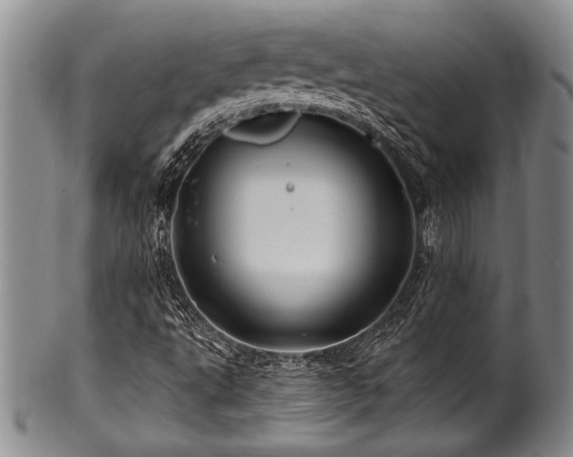 X0000100781495200806261617