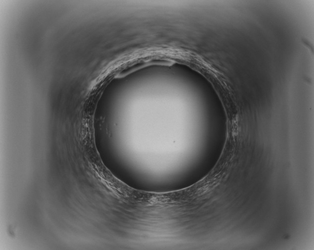 X0000100781496200806261617