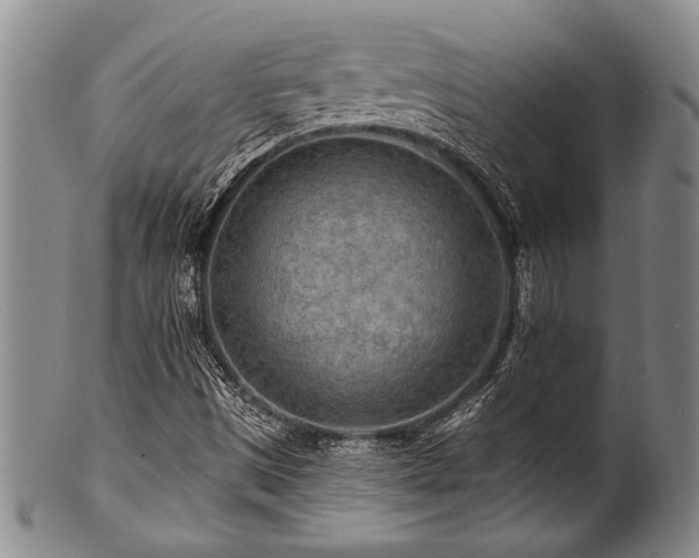 X0000100781497200806261617