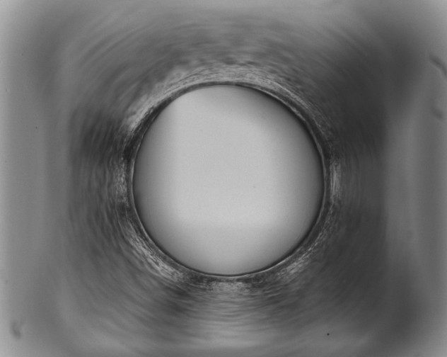 X0000100781498200806261617