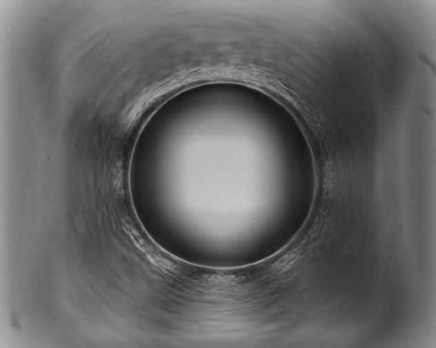 X0000100781499200806261617