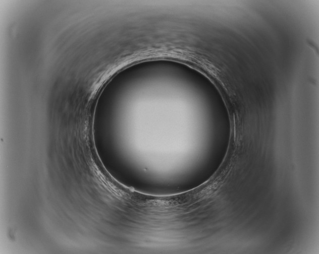 X0000100781500200806261617