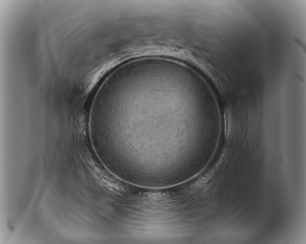 X0000100781501200806261617