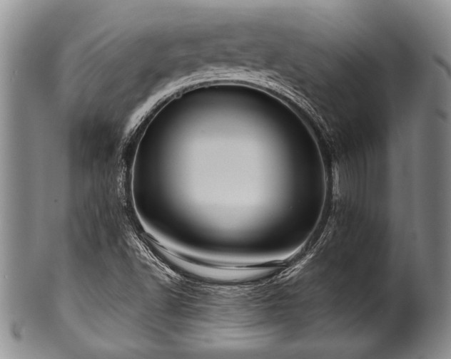 X0000100781502200806261617