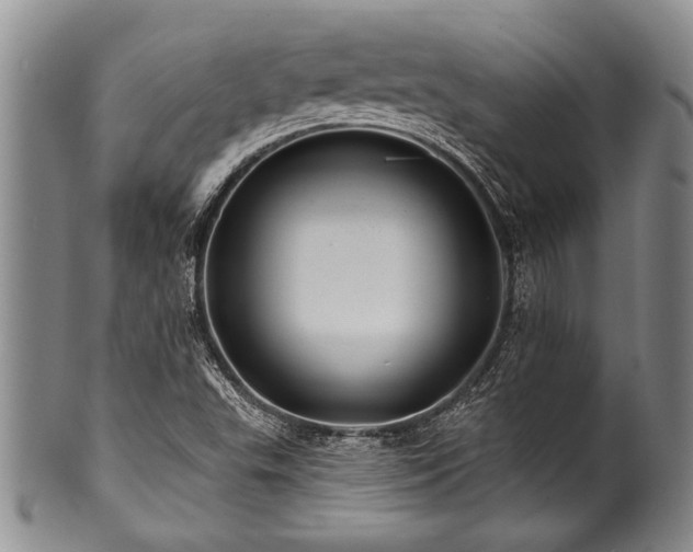 X0000100781503200806261617