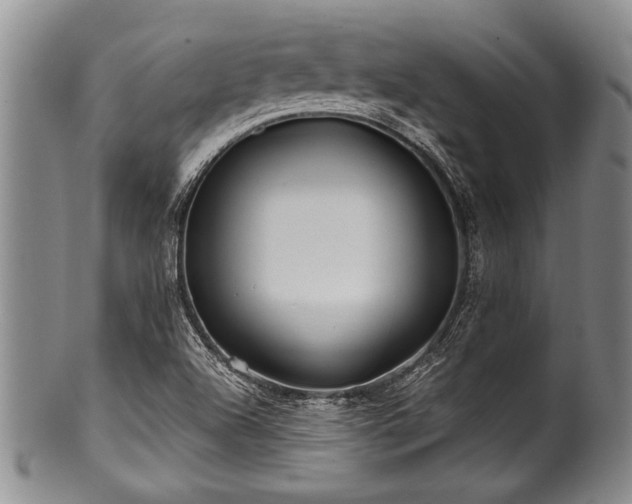 X0000100781504200806261617