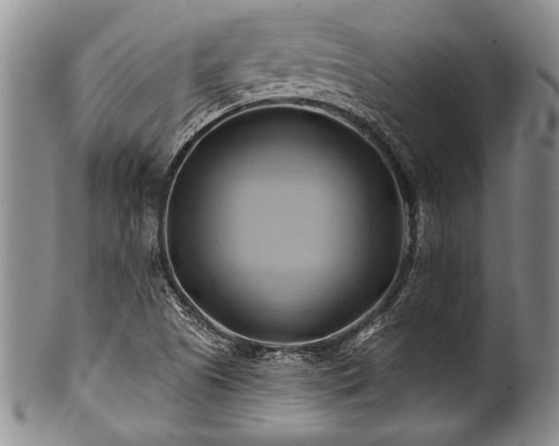 X0000100781505200806261617