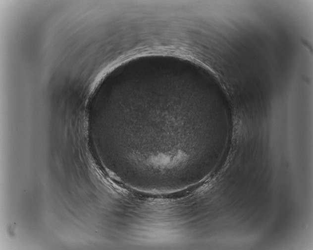 X0000100781506200806261617