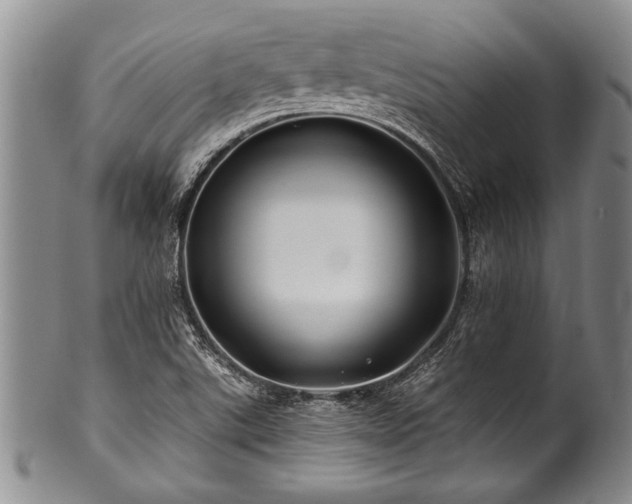 X0000100781507200806261617