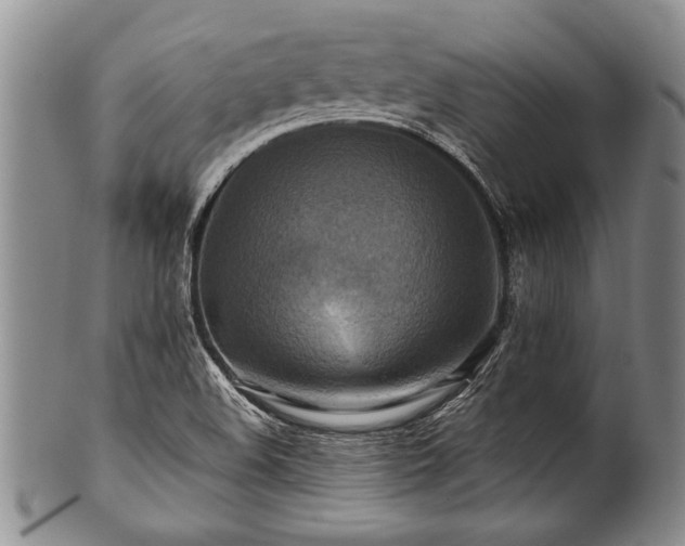 X0000100781508200806261617