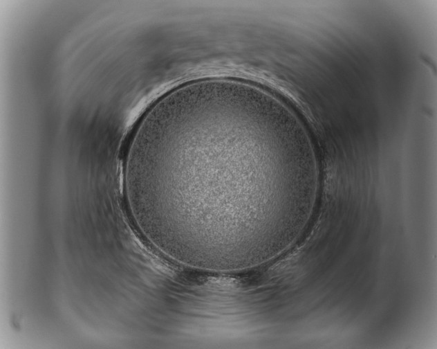 X0000100781509200806261617