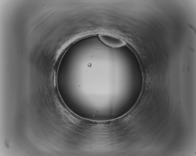 X0000100781510200806261617