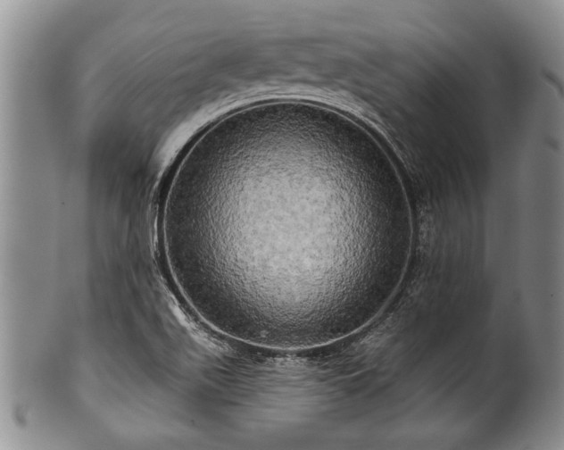 X0000100781511200806261617