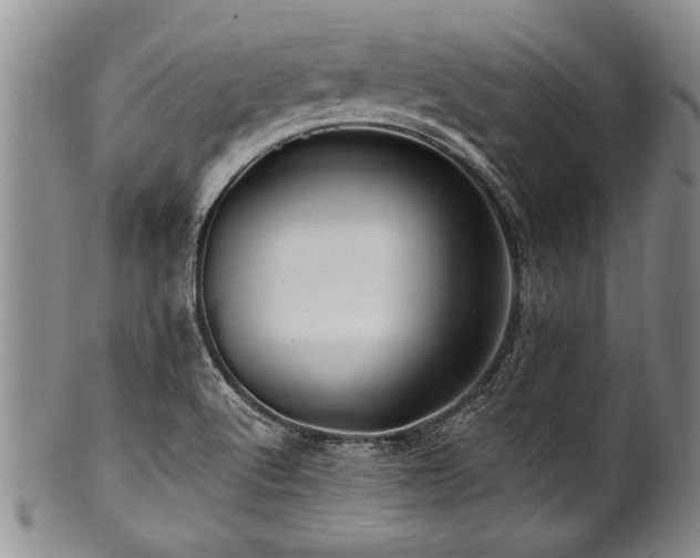 X0000100781512200806261617