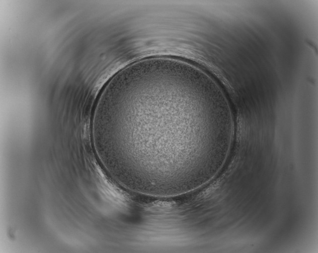 X0000100781513200806261617