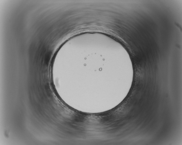 X0000100781514200806261617