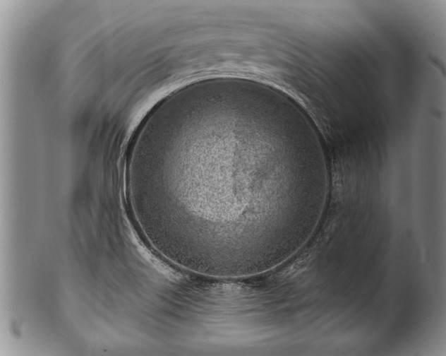 X0000100781515200806261617