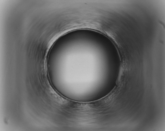 X0000100781516200806261617