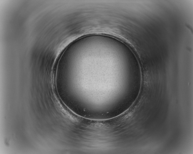 X0000100781517200806261617