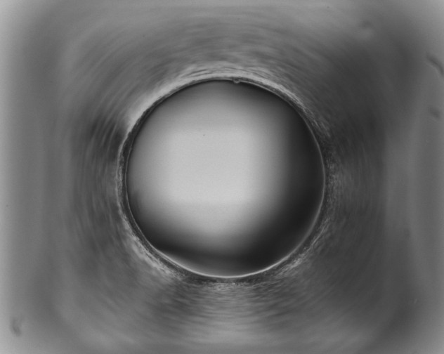 X0000100781518200806261617