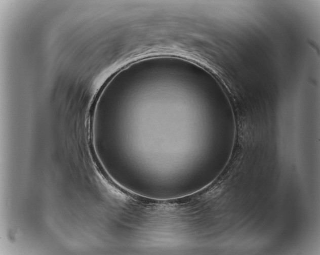 X0000100781519200806261617