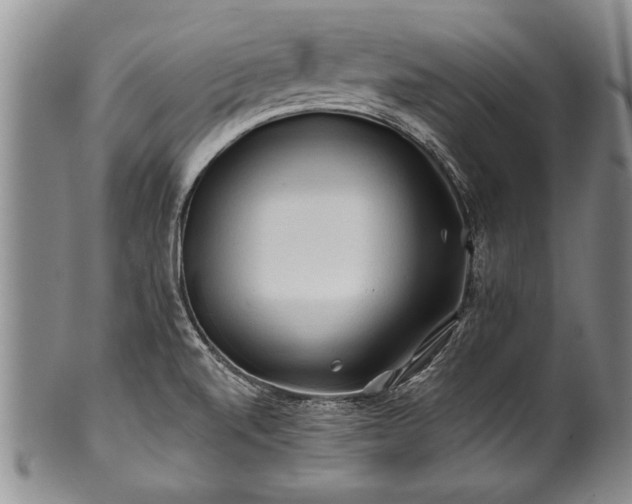 X0000100781520200806261617