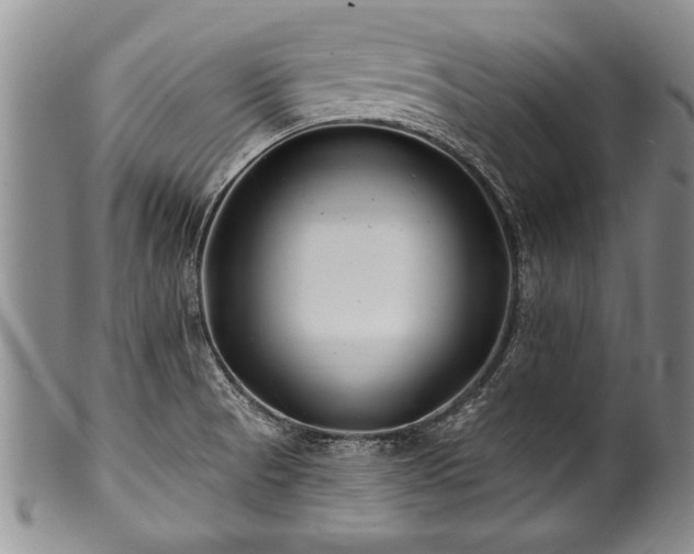 X0000100781521200806261617