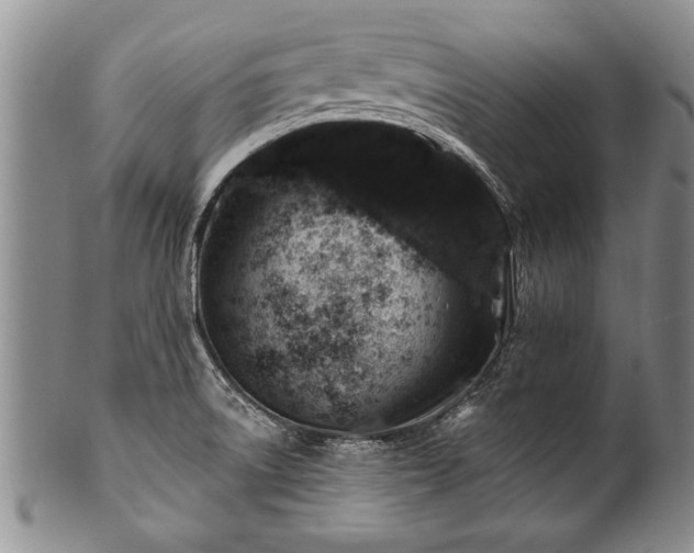 X0000100781522200806261617