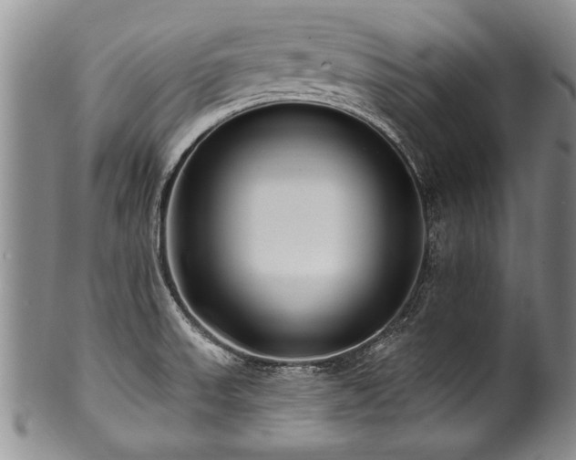 X0000100781523200806261617