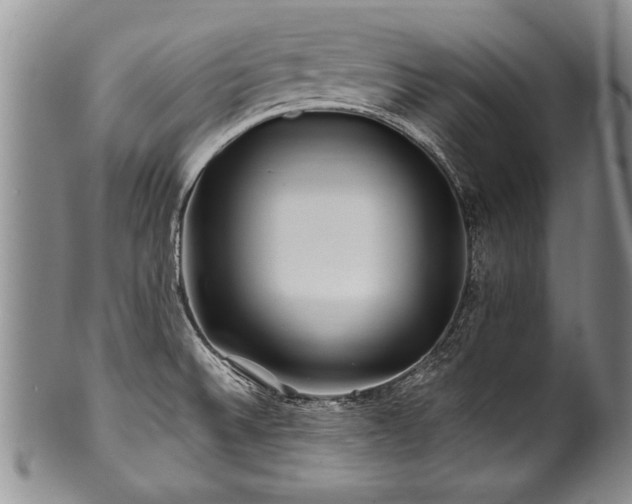 X0000100781524200806261617