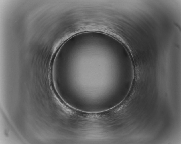 X0000100781525200806261617