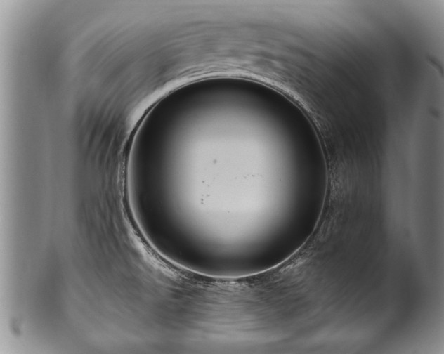 X0000100781526200806261617