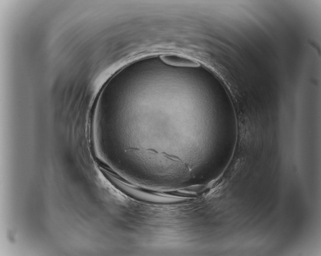 X0000100781527200806261617