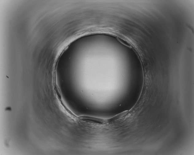 X0000100781528200806261617