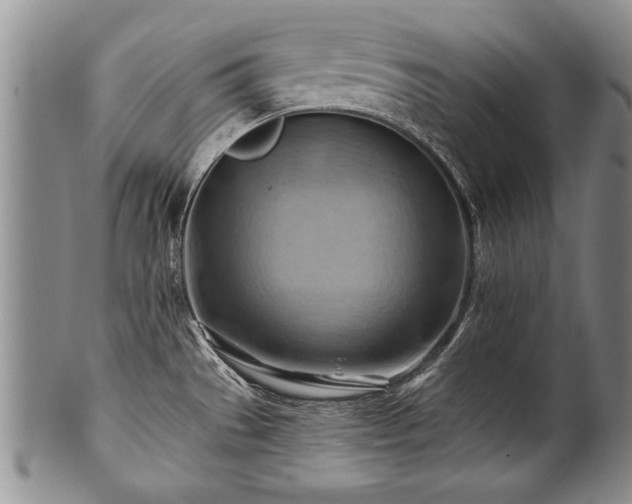 X0000100781529200806261617