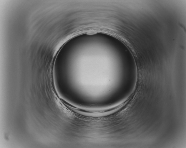 X0000100781530200806261617